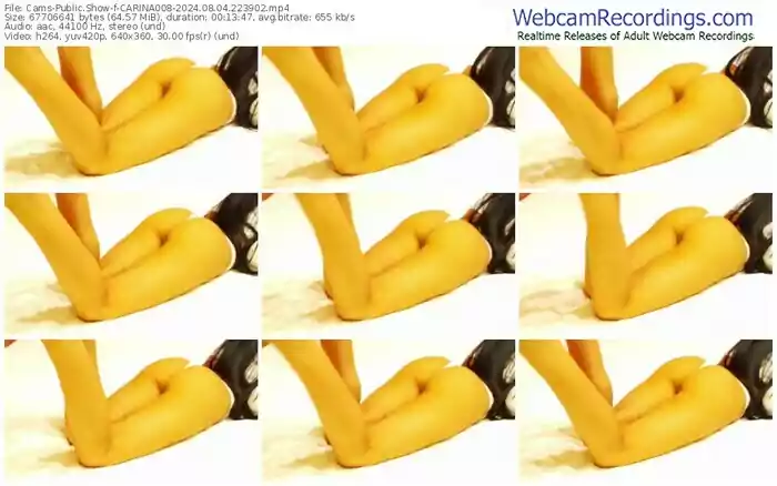 cams-carina008-08-04-2024-22-39-02