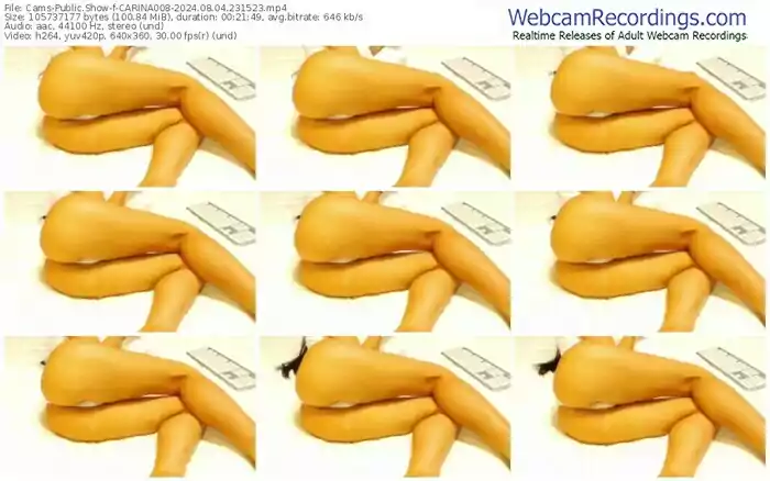 cams-carina008-08-04-2024-23-15-23