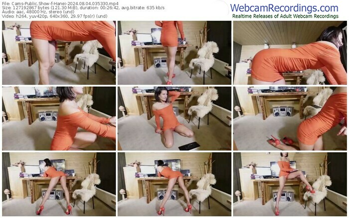 cams-hanei-08-04-2024-03-53-30
