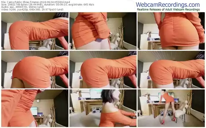 cams-hanei-08-04-2024-05-50-04