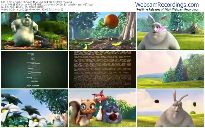 cams-ff_mur-08-07-2024-03-51-35