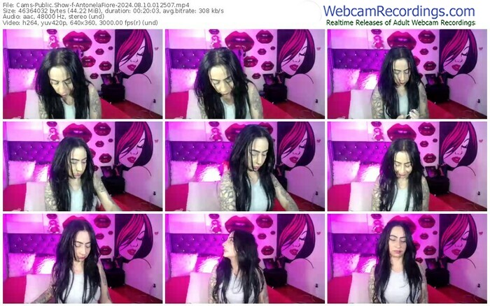 cams-antonelafiore-08-10-2024-01-25-07