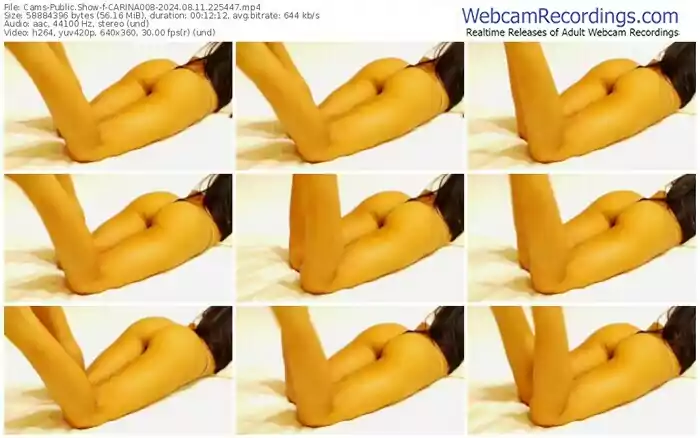 cams-carina008-08-11-2024-22-54-47