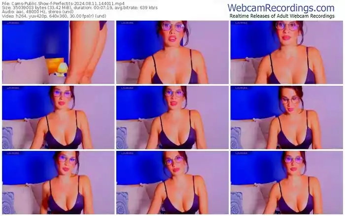 cams-perfectits-08-11-2024-14-40-11