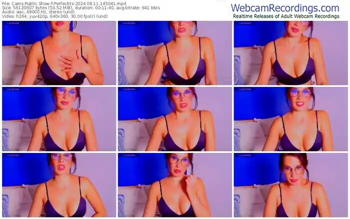 cams-perfectits-08-11-2024-14-50-41