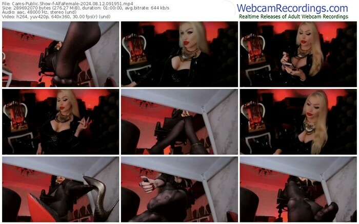 cams-alfafemale-08-12-2024-09-19-51