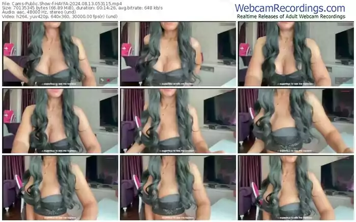 cams-hayfa-08-13-2024-05-31-15