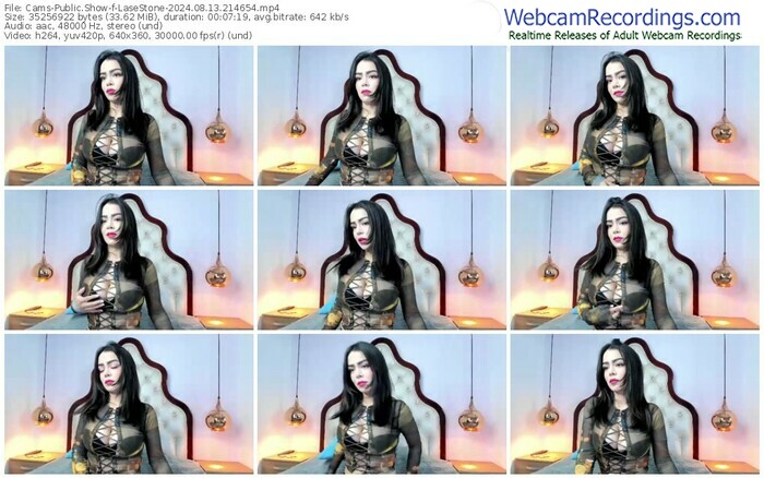 cams-lasestone-08-13-2024-21-46-54