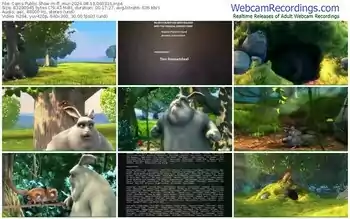 cams-ff_mur-08-13-2024-06-03-16