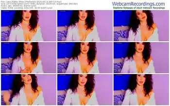 cams-perfectits-08-14-2024-06-57-19