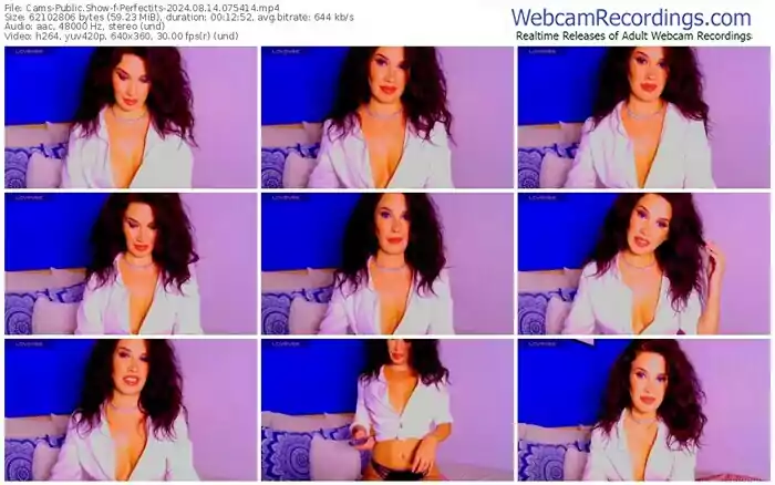 cams-perfectits-08-14-2024-07-54-14