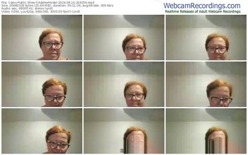 cams-adeleemodel-08-16-2024-20-42-59