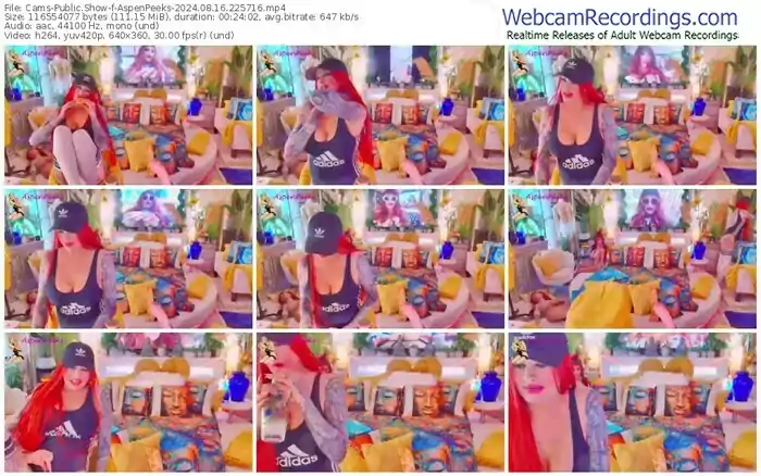 cams-aspenpeeks-08-16-2024-22-57-16