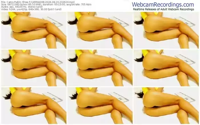 cams-carina008-08-16-2024-23-26-24