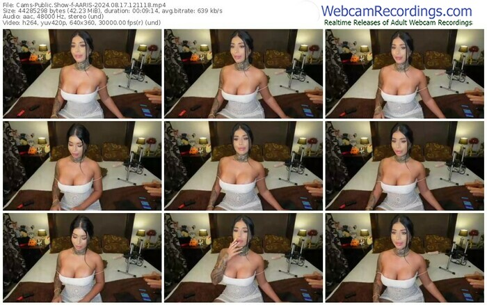 cams-aaris-08-17-2024-12-11-18