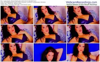 cams-perfectits-08-17-2024-09-34-44