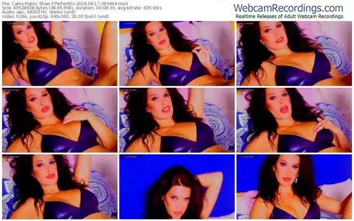 cams-perfectits-08-17-2024-09-34-44