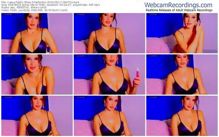 cams-perfectits-08-17-2024-09-47-53