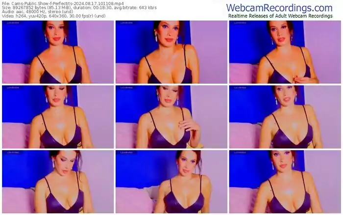 cams-perfectits-08-17-2024-10-11-08