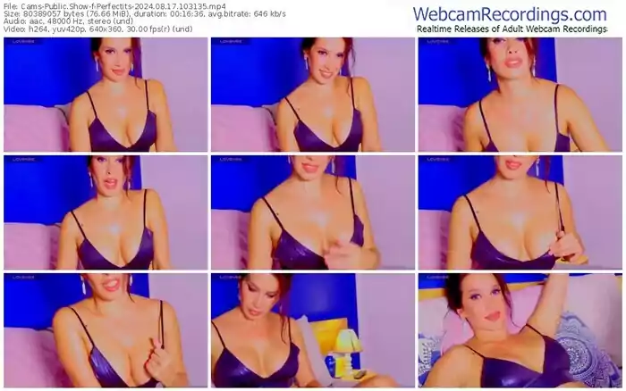 cams-perfectits-08-17-2024-10-31-35