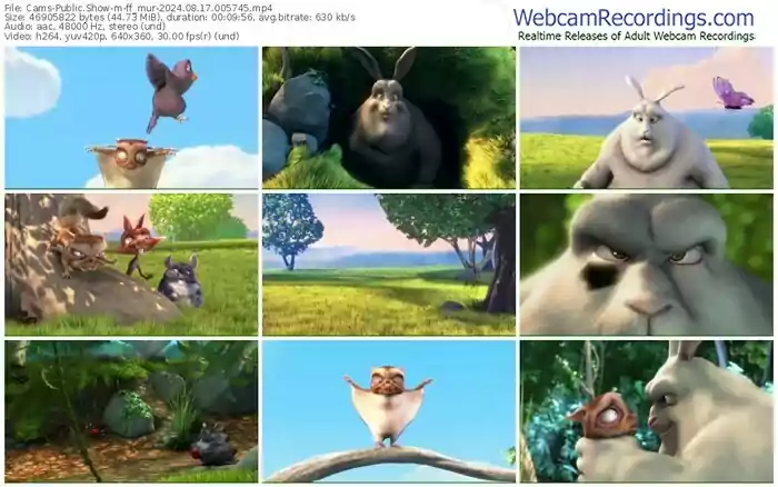 cams-ff_mur-08-17-2024-00-57-45