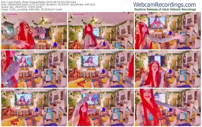 cams-aspenpeeks-08-18-2024-02-11-59