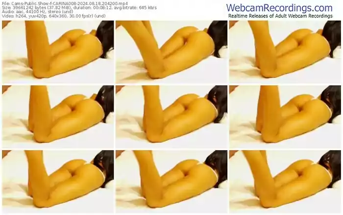 cams-carina008-08-18-2024-20-42-00