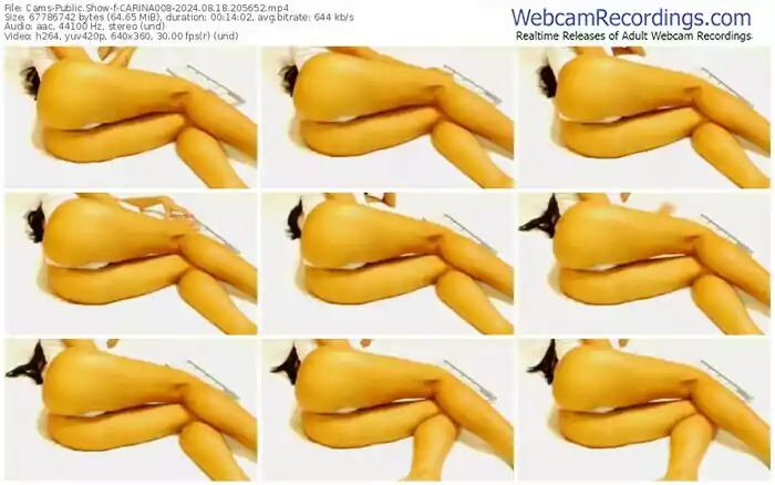 cams-carina008-08-18-2024-20-56-52