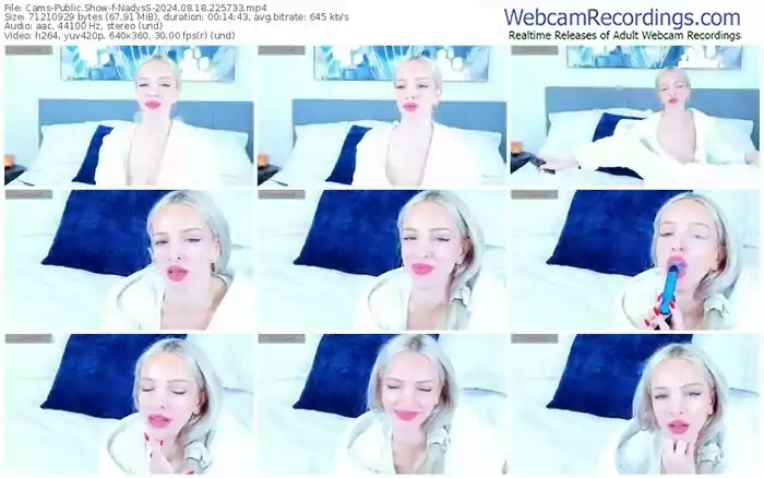 cams-nadyss-08-18-2024-22-57-33