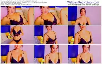 cams-perfectits-08-18-2024-05-40-35