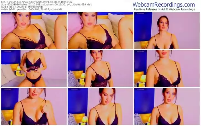 cams-perfectits-08-18-2024-05-40-35