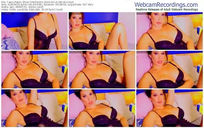 cams-perfectits-08-18-2024-08-14-14