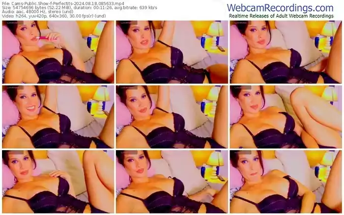 cams-perfectits-08-18-2024-08-56-33