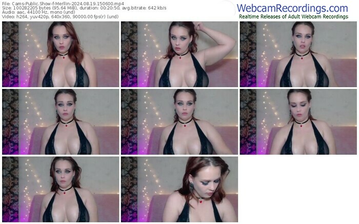 cams-merllin-08-19-2024-15-06-00