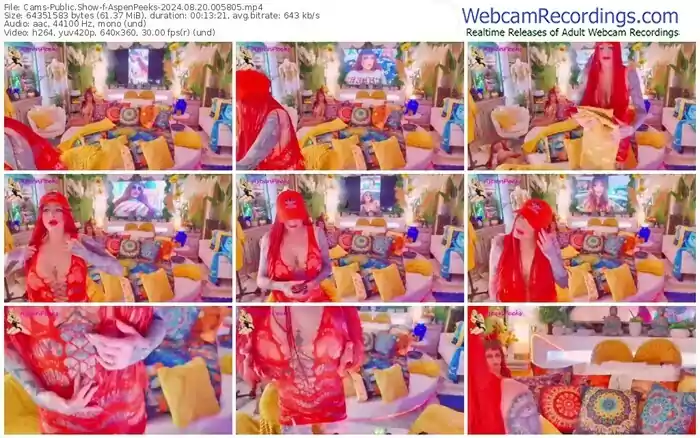 cams-aspenpeeks-08-20-2024-00-58-05