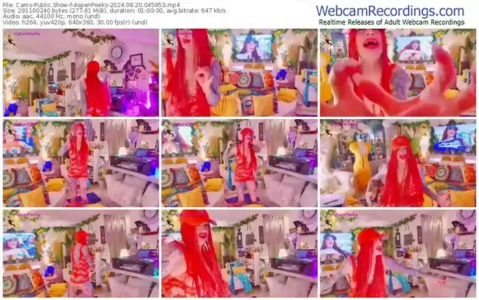 cams-aspenpeeks-08-20-2024-04-59-53