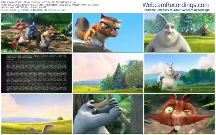 cams-ff_mur-08-20-2024-04-13-47