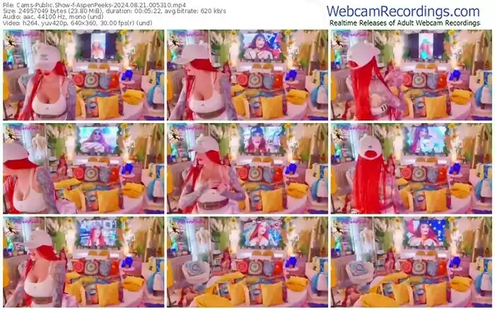 cams-aspenpeeks-08-21-2024-00-53-10