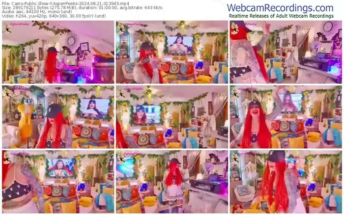 cams-aspenpeeks-08-21-2024-01-39-43