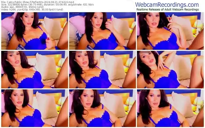 cams-perfectits-08-21-2024-07-42-16