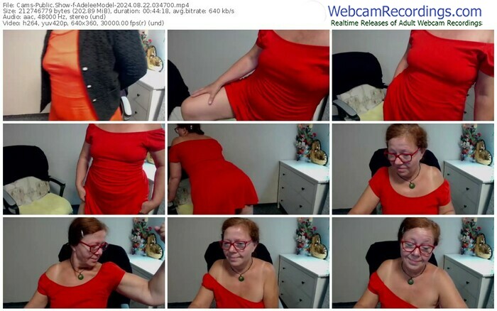 cams-adeleemodel-08-22-2024-03-47-00