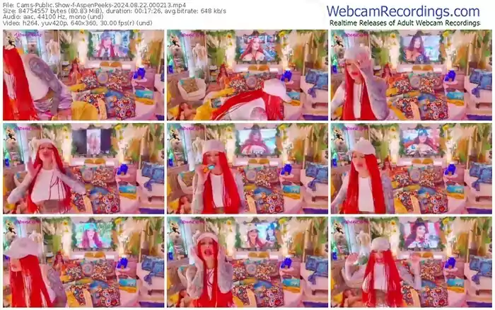 cams-aspenpeeks-08-22-2024-00-02-13