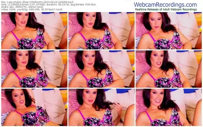 cams-perfectits-08-24-2024-10-40-58