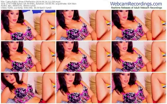 cams-perfectits-08-24-2024-11-12-30