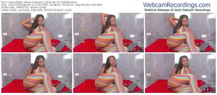 cams-sahory1-08-24-2024-16-36-06