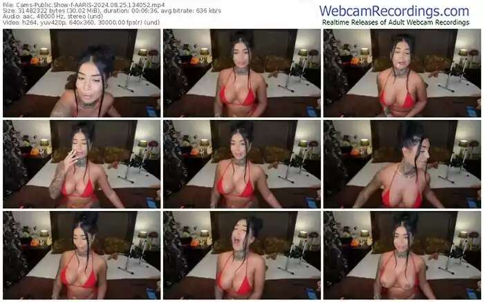 cams-aaris-08-25-2024-13-40-52