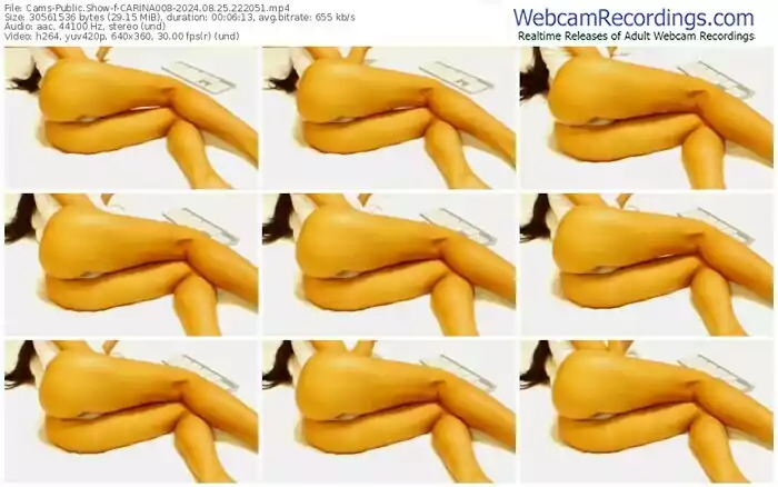 cams-carina008-08-25-2024-22-20-51