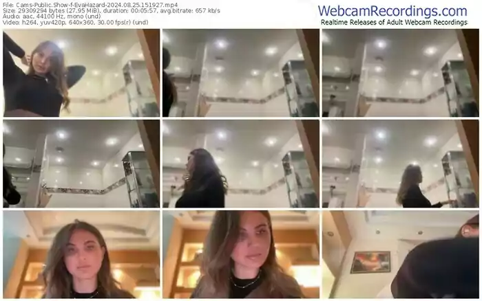 cams-evahazard-08-25-2024-15-19-27