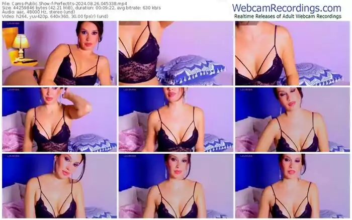 cams-perfectits-08-26-2024-04-53-38