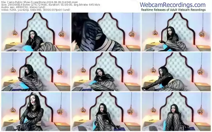 cams-lasestone-08-28-2024-01-43-40
